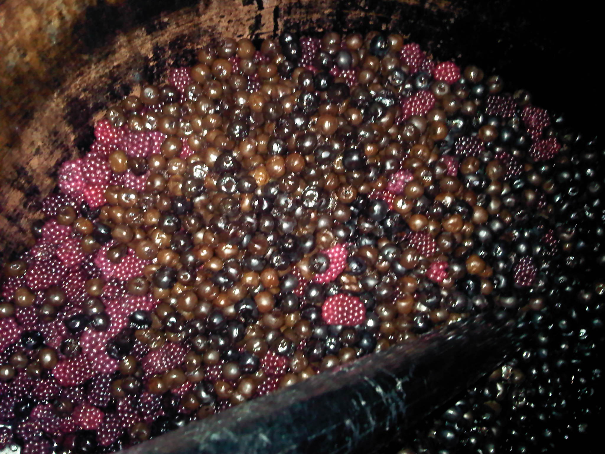 Black Berry